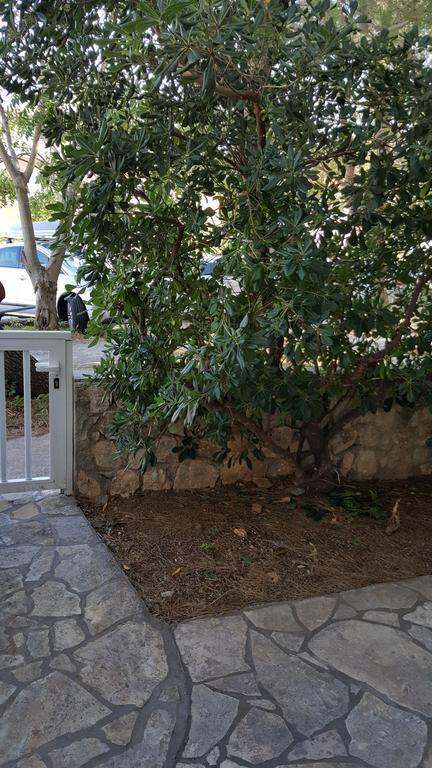Studio Apartment Bosko Novalja Εξωτερικό φωτογραφία